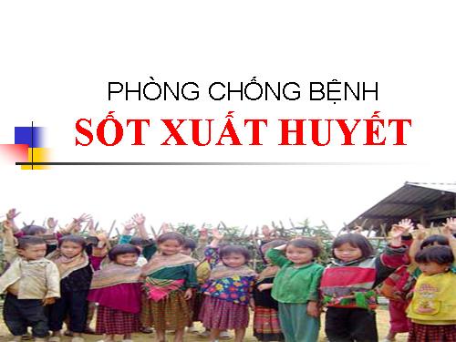 Bài 13. Phòng bệnh sốt xuất huyết