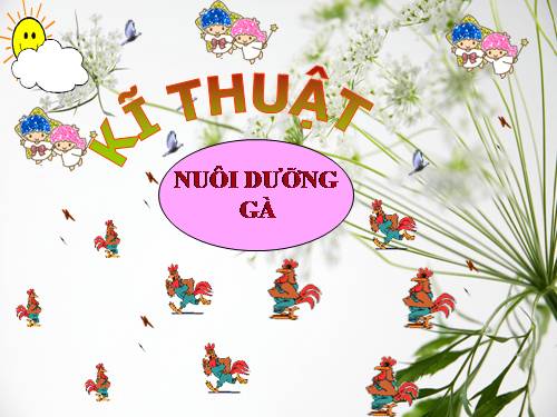 Bài 13. Nuôi dưỡng gà