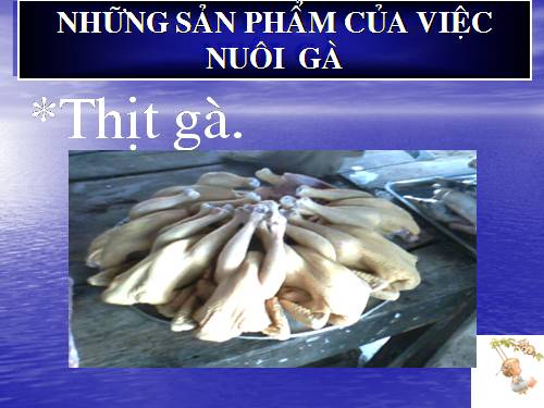 Bài 10. Lợi ích của việc nuôi gà