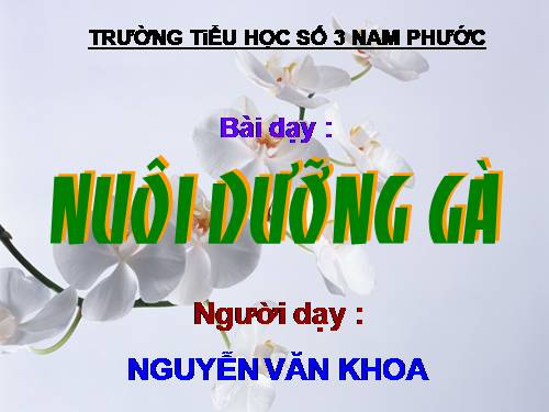 Bài 13. Nuôi dưỡng gà