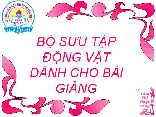 ho tro bai giang bang hiinh anh dong vat