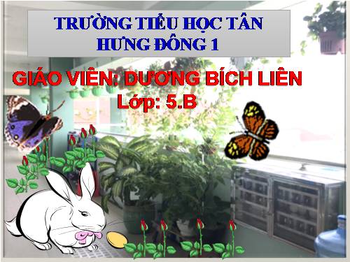 Tập đọc lớp 5.