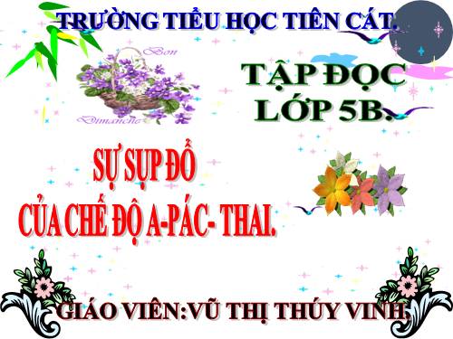 Tuần 6. Sự sụp đổ của chế độ A-pác-thai