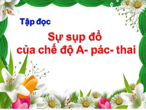 Tuần 6. Sự sụp đổ của chế độ A-pác-thai