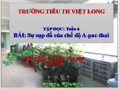 Tuần 6. Sự sụp đổ của chế độ A-pác-thai