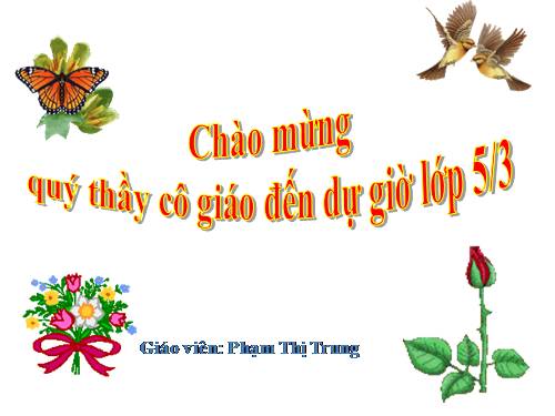 Tuần 5. Một chuyên gia máy xúc