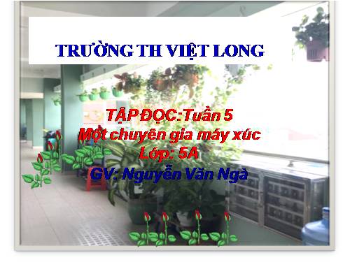 Tuần 5. Một chuyên gia máy xúc