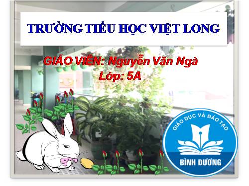 Tuần 4. Những con sếu bằng giấy