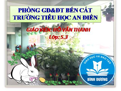 Tuần 4. Bài ca về trái đất