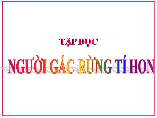 Tuần 13: Người gác rừng tí hon