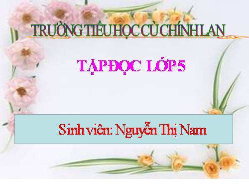 tập đọc một vụ đắm tàu