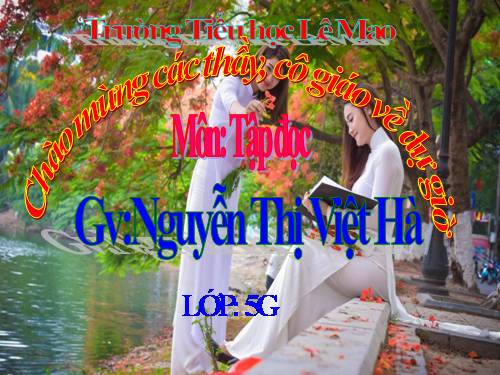 tuần 30