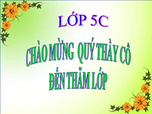 bài 31: Công việc đầu tiên