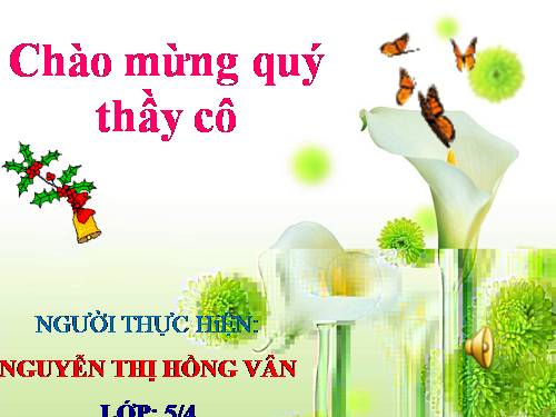 Tuần 9. Đất Cà Mau