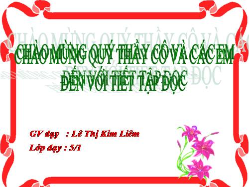 Tuần 9. Đất Cà Mau