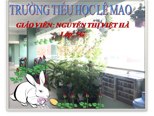 Tuần 27. Đất nước