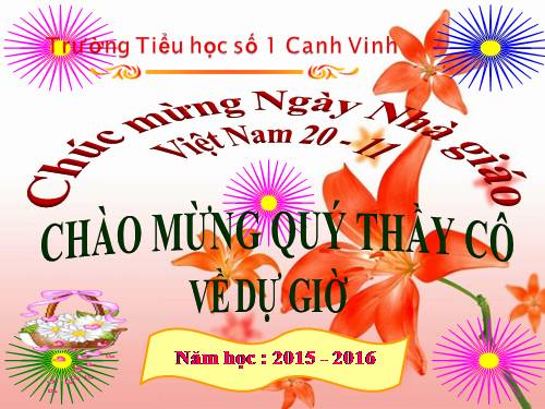 Tuần 13. Người gác rừng tí hon