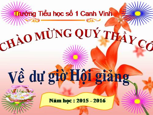 Tuần 29. Một vụ đắm tàu