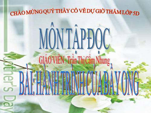 Tuần 12. Hành trình của bầy ong