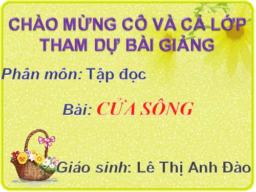 Tuần 25. Cửa sông