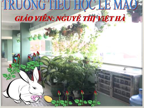 Tuần 25. Cửa sông