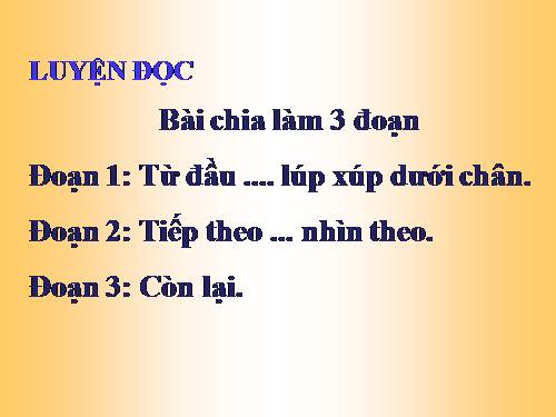 Tuần 8. Kì diệu rừng xanh