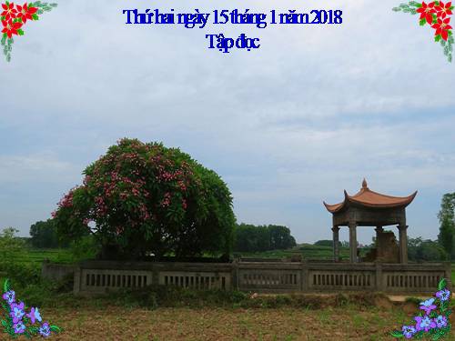 Tuần 21. Trí dũng song toàn