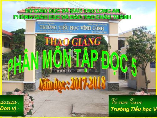 Tuần 13. Trồng rừng ngập mặn