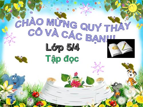 Tuần 13. Trồng rừng ngập mặn