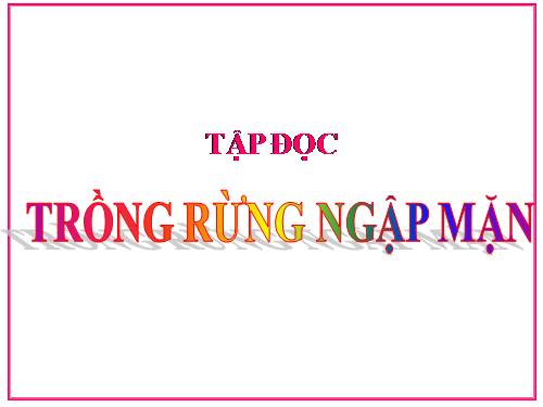 Tuần 13. Trồng rừng ngập mặn