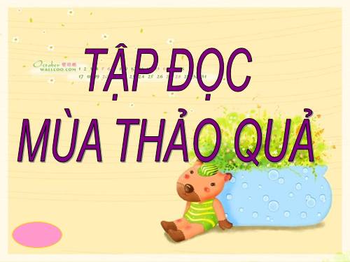 Tuần 12. Mùa thảo quả