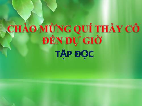 Tuần 9. Đất Cà Mau