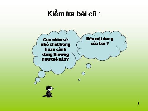 Tuần 12. Mùa thảo quả