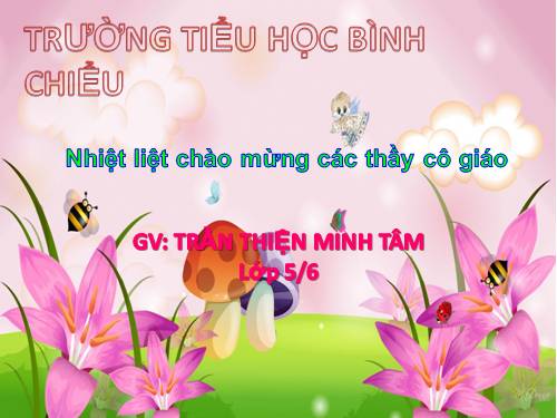 Tuần 11. Chuyện một khu vườn nhỏ