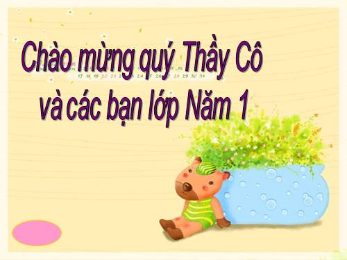 Tuần 25. Cửa sông