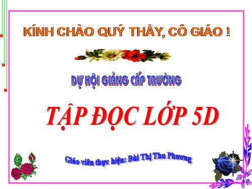 Tuần 9. Đất Cà Mau