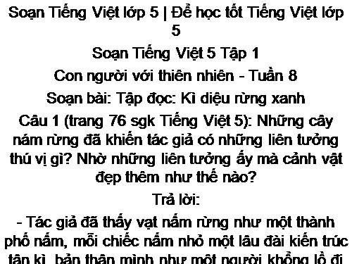 Tuần 8. Kì diệu rừng xanh