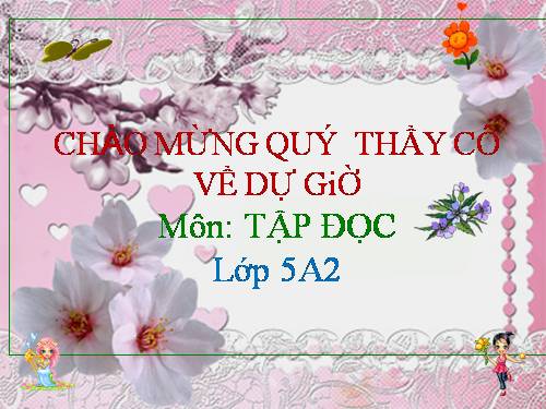 Tuần 9. Đất Cà Mau