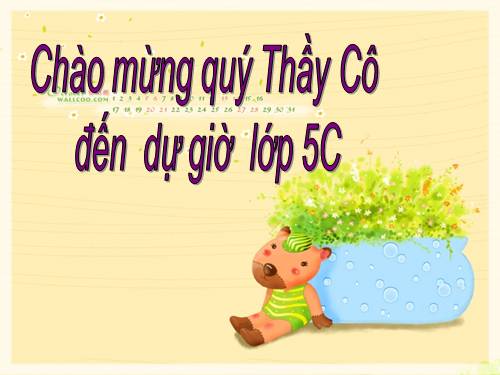 Tuần 23. Chú đi tuần