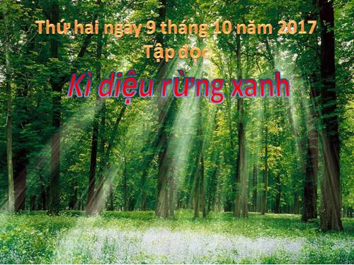 Tuần 8. Kì diệu rừng xanh