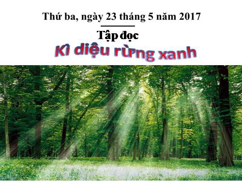 Tuần 8. Kì diệu rừng xanh