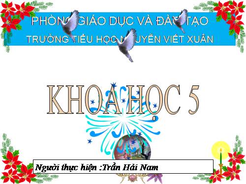 Tuần 7. Những người bạn tốt