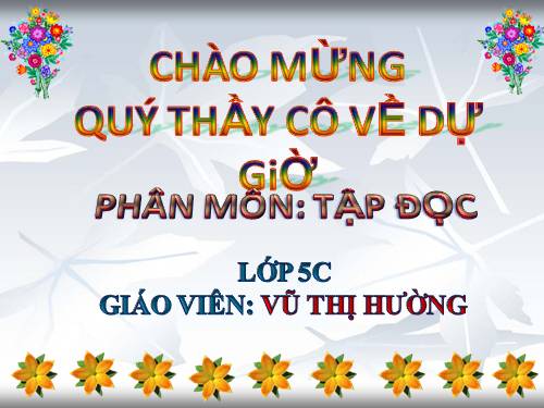 Tuần 9. Đất Cà Mau