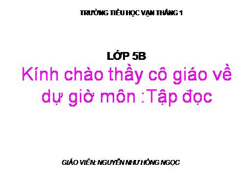 Tuần 13. Trồng rừng ngập mặn