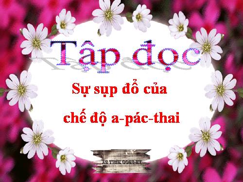 Tuần 6. Sự sụp đổ của chế độ A-pác-thai