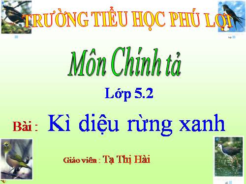 Tuần 8. Kì diệu rừng xanh
