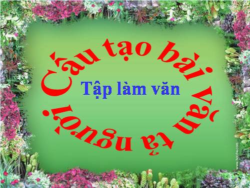 Tuần 2. Sắc màu em yêu