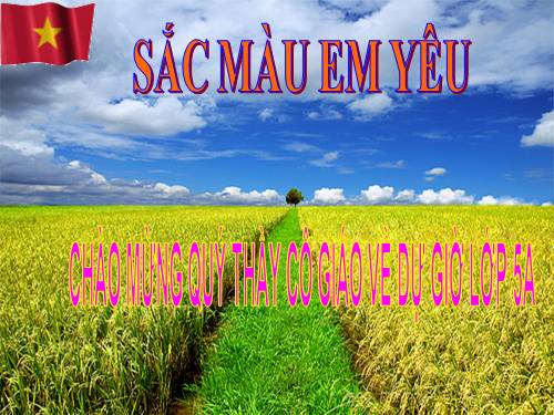 Tuần 2. Sắc màu em yêu