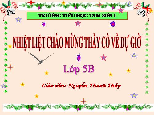 Tuần 5. Một chuyên gia máy xúc