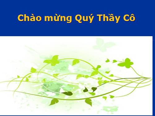 Tuần 13. Trồng rừng ngập mặn